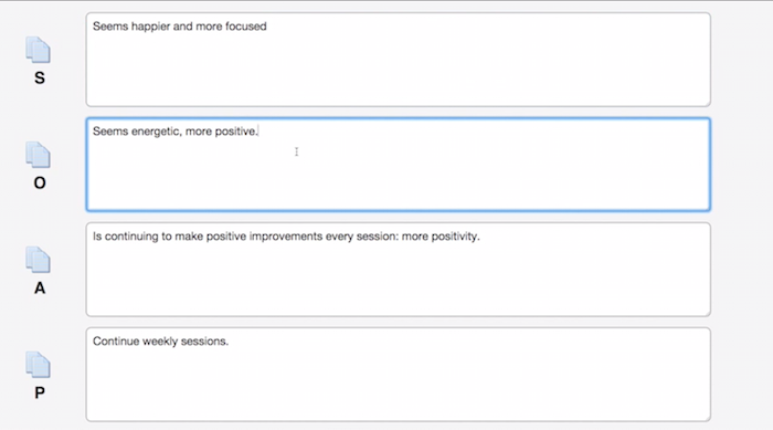5 Must-Have Electronic Progress Notes Tools