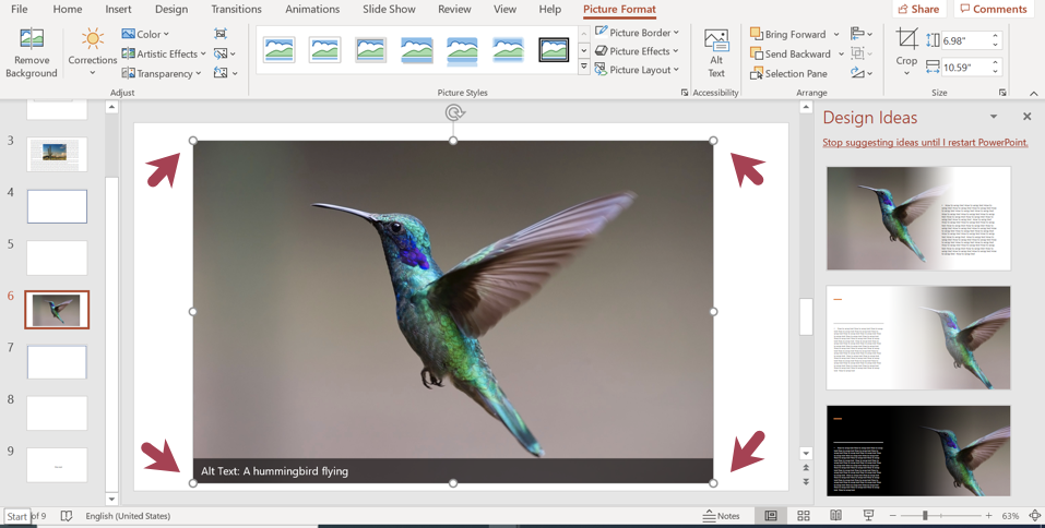 How To Wrap Text in PowerPoint: A Step-by-Step Guide I Software Advice